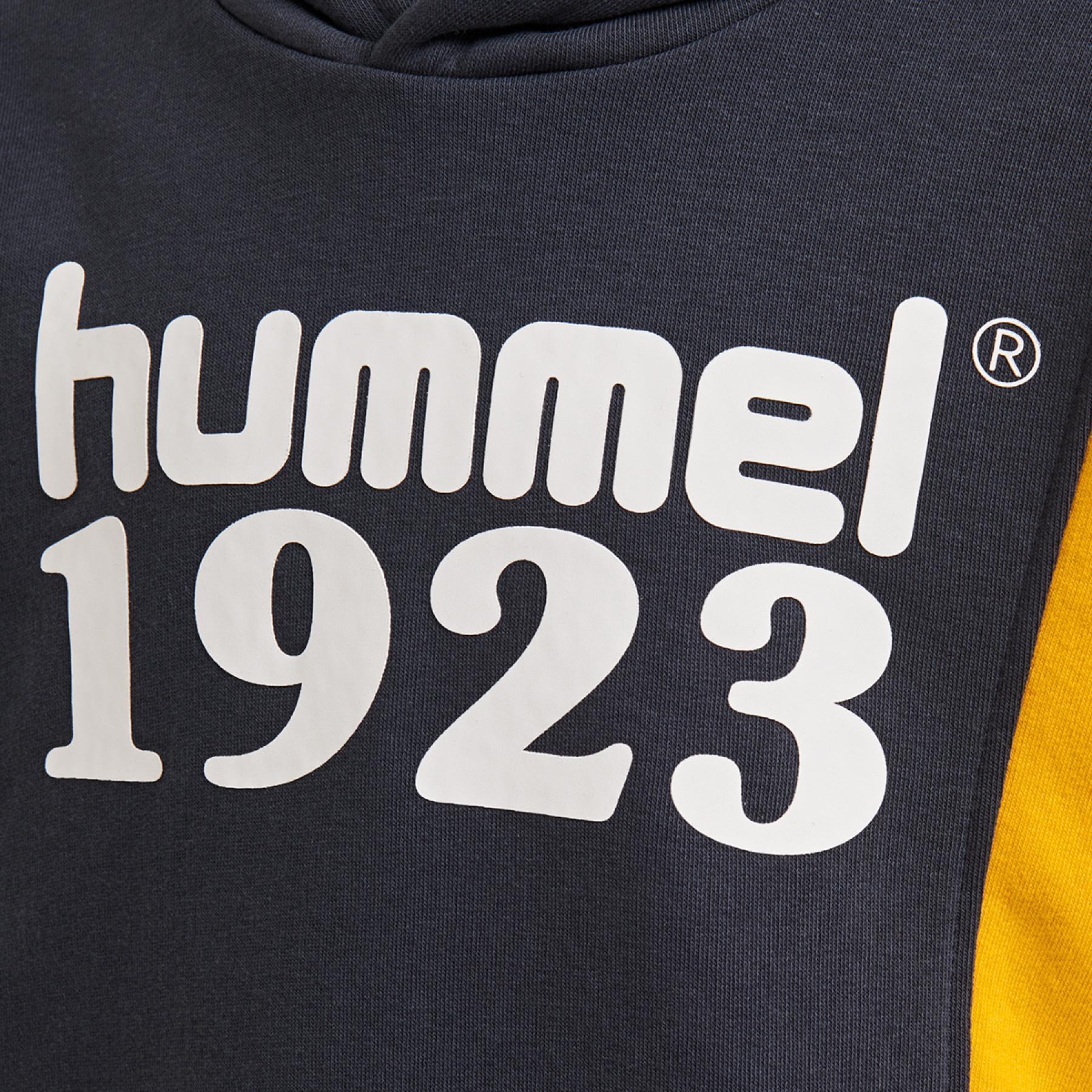 Sudadera con capucha para niños Hummel hmlpresley