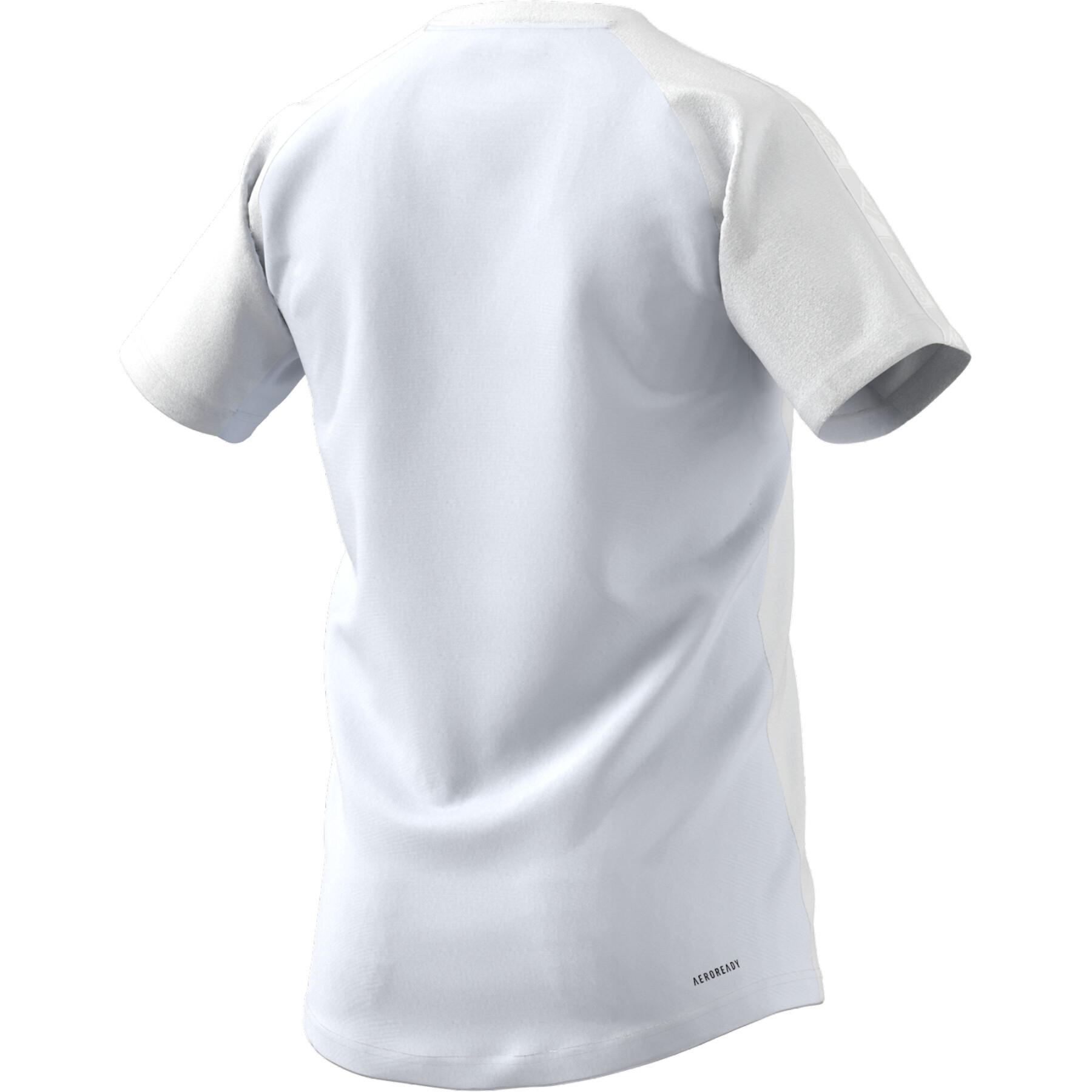 Camiseta adidas Aeroready Designed To Move Sport Motion Logo