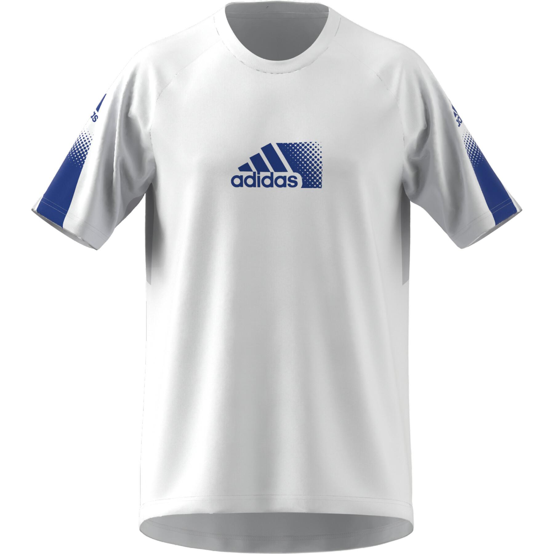 Camiseta adidas Aeroready Designed To Move Sport