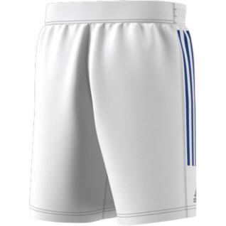 Pantalones cortos de equipo de France Handball 2021