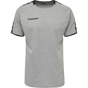 Camiseta Hummel Training hmlAUTHENTIC